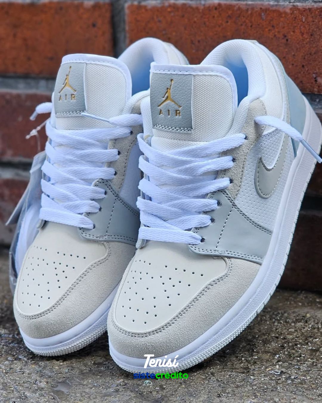 Nike Jordan 1 Paris Edition